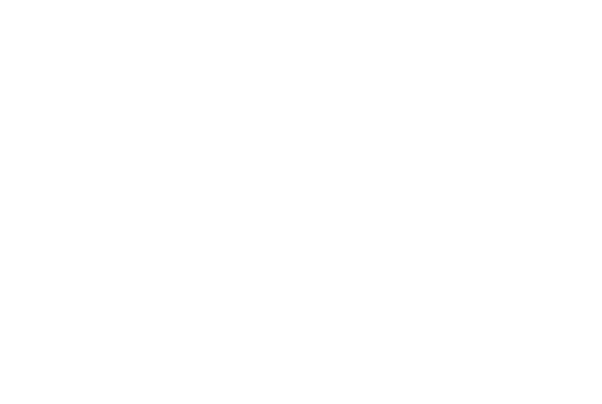 Logo transparent Maestrani