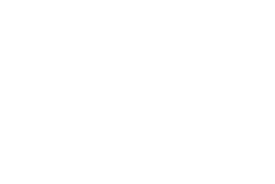 Logo transparent Maestrani